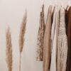 Latest Posts